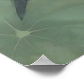 Graceful Koi Fish Pond Serenity Design ポスター (角)