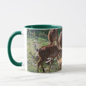 Graceful Nyala – African Nature マグカップ (左)