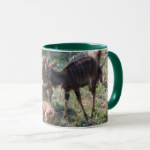 Graceful Nyala – African Nature マグカップ (正面右)