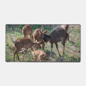 Graceful Nyala in African Grasslands デスクマット (正面)
