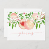 Graciasは赤ちゃんシャワーのメロコトーンに感謝 ポストカード (正面/裏面)