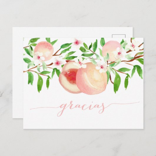 Graciasは赤ちゃんシャワーのメロコトーンに感謝 ポストカード (正面/裏面)