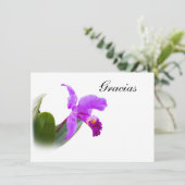 、Gracias、スペイン語、蘭カードありがとう サンキューカード (スタンド正面)