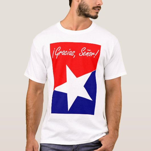 Gracias、Señorチリ抗夫! 賛美歌の95:4の英語 Tシャツ (正面)
