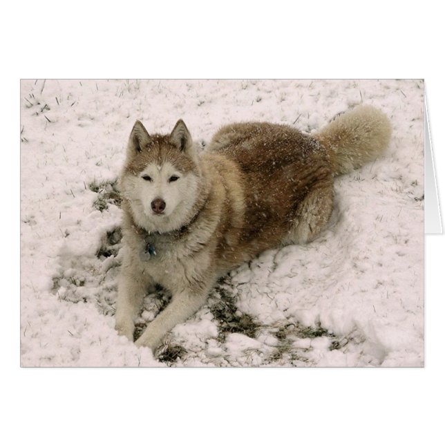 Gracie 2のカード (正面横)