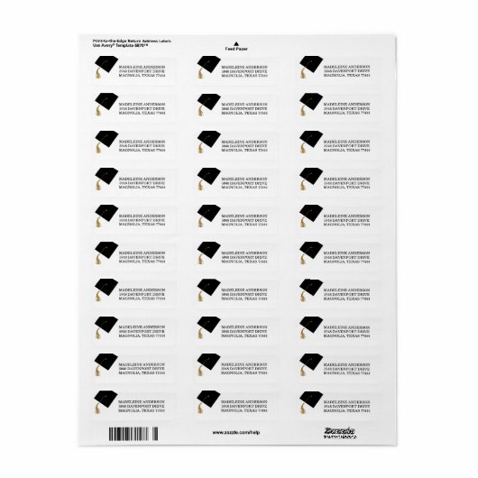 Graduation Black Cap And Tassel Address ラベル (フルシート)