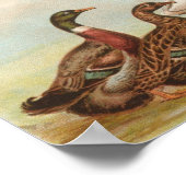 Graham - RouenとMuscovy Ducksのポートフォリオ ポスター (角)