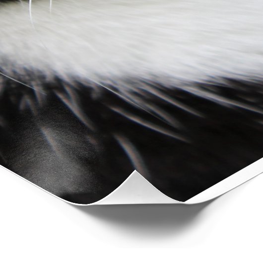 Grain Of Salt Catのスローガンやる気を起こさせる写真 ポスター (コーナー)