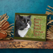 Grain of Salt Catアドバイスモチベーション時間 フォトプラーク (側面)