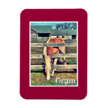 Gram Deluxe Editionマグネット