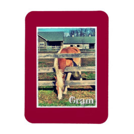 Gram Deluxe Editionマグネット マグネット