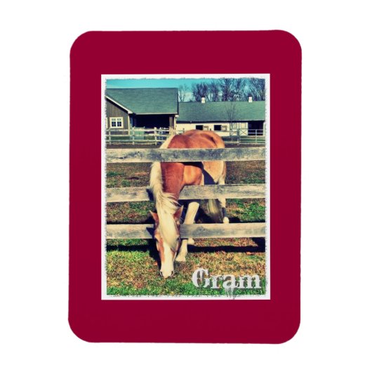 Gram Deluxe Editionマグネット マグネット (縦)