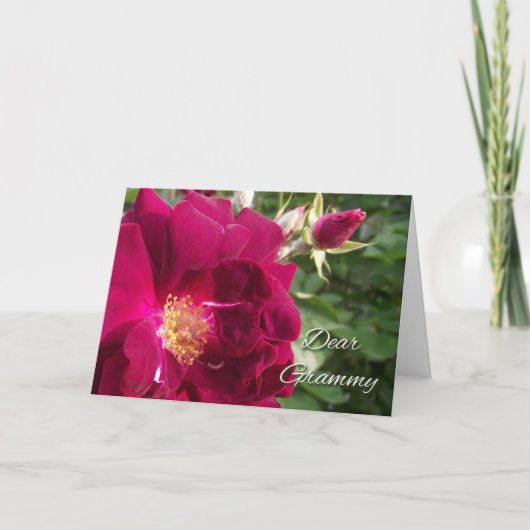 Grammy祖父母の日のために赤いバラと芽 カード (正面)