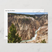 Grand Canyon of the Yellowstone ポストカード (正面/裏面)
