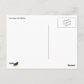 Grand Canyon of the Yellowstone ポストカード (裏面)