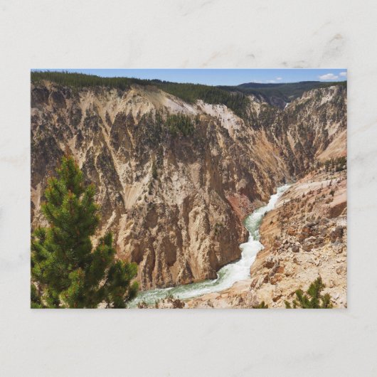 Grand Canyon of the Yellowstone ポストカード (正面)