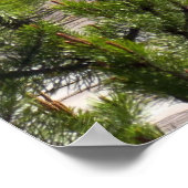 Grand Prismatic Overlook ポスター (角)