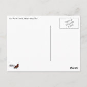 Grand Prismatic Overlook ポストカード (裏面)