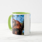 Grand singe roux perché dans un arbre tropical . マグカップ (正面左)