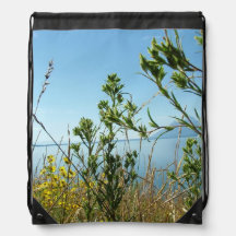 Grand Teton National Paの野生植物と花