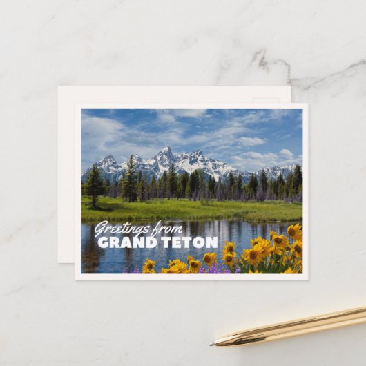 Grand Teton National Park Spring Flower Reflection ポストカード (正面/裏面インサイチュ)