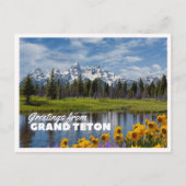 Grand Teton National Park Spring Flower Reflection ポストカード (正面)