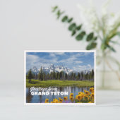 Grand Teton National Park Spring Flower Reflection ポストカード (スタンド正面)