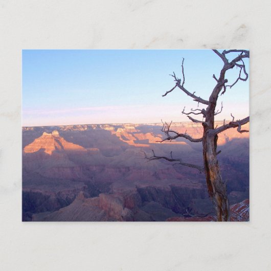 GrandCanyon-View#1はがき ポストカード (正面)