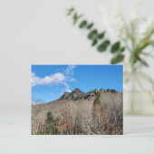 Grandfather Mountain, North Carolina ポストカード (スタンド正面)