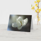 Grandifloraマグノリア カード (黄色い花)