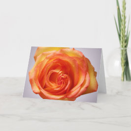 Grandiflora上がりました サンキューカード