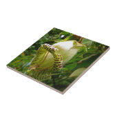 Grandiflora Capanea タイル (側面)