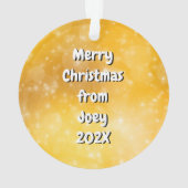 Grandkids写真オーナメント祖父母のための記念 オーナメント (裏面)