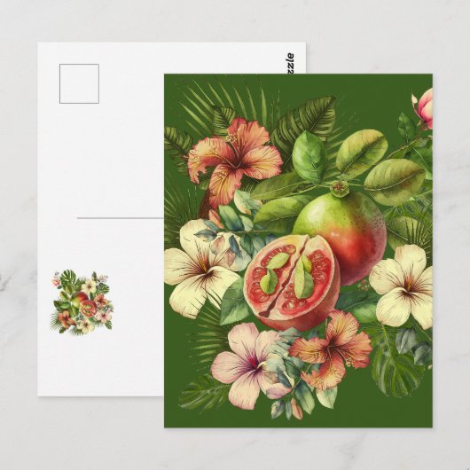 Grandma Manuela's Guavas ポストカード (正面/裏面)