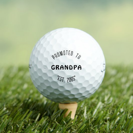 Grandpa妊娠タイトルリストPro V1に昇格 ゴルフボール (インサイチュ 木)