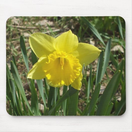 Grandparent's Bright Yellow Daffodil Mouse Pad マウスパッド (正面)