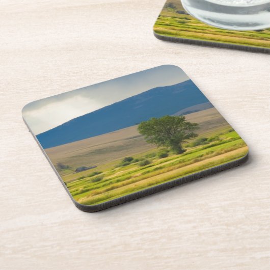 Granite郡モンタナ コースター (左側)