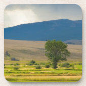 Granite郡モンタナ コースター (正面)