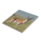 Grant's Gazelle, Ngorongoro Crater, Ngorongoro タイル (側面)