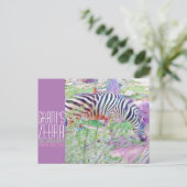 Grant's Zebra [Postcard] ポストカード (スタンド正面)