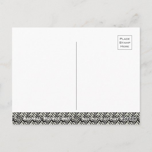 Grant's Zebra [Postcard] ポストカード (裏面)