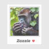 「grAPE」 シール (シート)