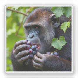 「grAPE」 シール