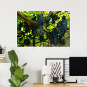 Grape vines ポスター (ホームオフィス)