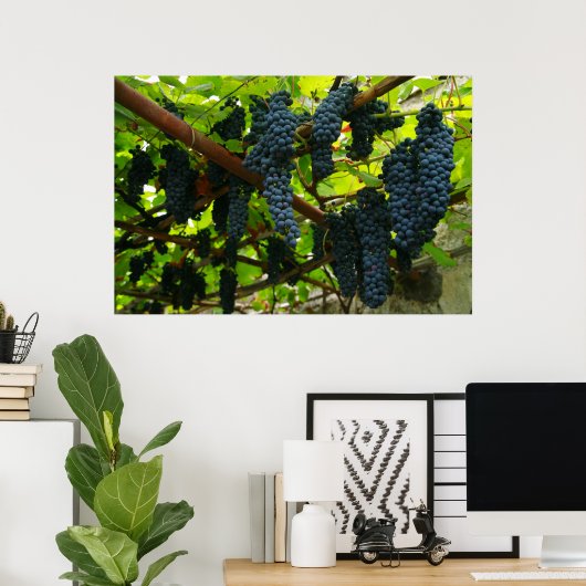 Grape vines ポスター (ホームオフィス)