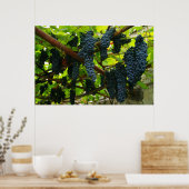 Grape vines ポスター (キッチン)