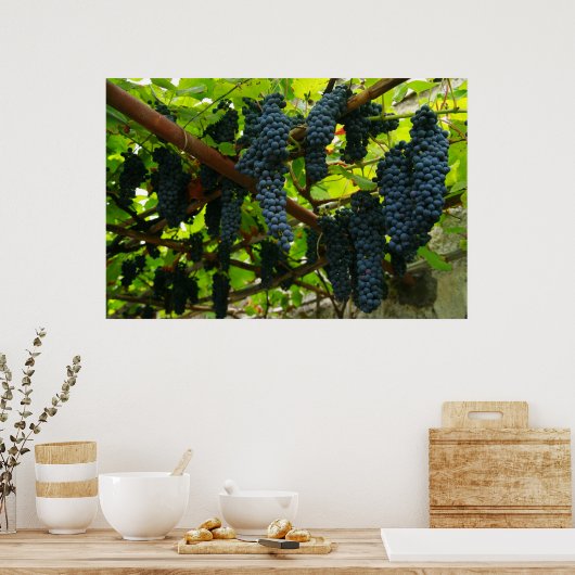 Grape vines ポスター (キッチン)