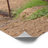 Grapes on the Vine - Winery Photograph ポスター (角)