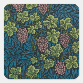  Grapevines with clusters of pink grapes  スクエアシール