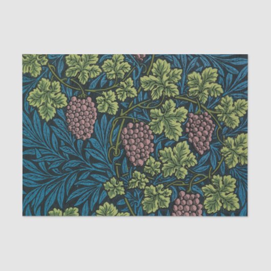  Grapevines with clusters of pink grapes  薄葉紙 (正面)